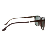 SUNGLASSES - OCCL5186
