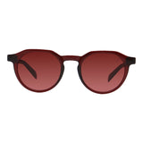 SUNGLASSES - OCCL5697