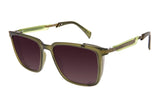 SUNGLASSES - OCCL3577