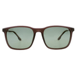 SUNGLASSES - OCCL5186