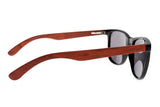 SUNGLASSES - OCCL4653