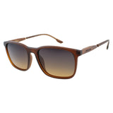 SUNGLASSES - OCCL5186