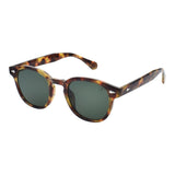 SUNGLASSES - OCCL5881