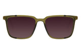 SUNGLASSES - OCCL3577