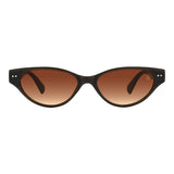 SUNGLASSES - OCCL5688