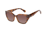 SUNGLASSES - OCCL4584