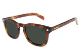 SUNGLASSES - OCCL4131