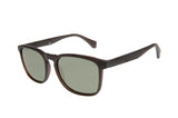 SUNGLASSES - OCCL4665