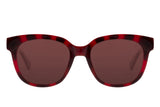 SUNGLASSES - OCCL4333