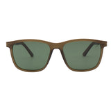 SUNGLASSES - OCCL5154