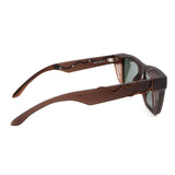 SUNGLASSES - OCCL5086