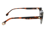 SUNGLASSES - OCCL4126
