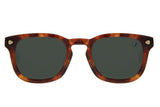 SUNGLASSES - OCCL4131