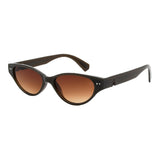 SUNGLASSES - OCCL5688