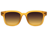 SUNGLASSES - OCCL4359