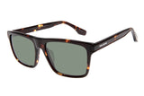 SUNGLASSES - OCCL4372