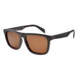 SUNGLASSES - OCCL5733
