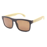 SUNGLASSES - OCCL5194