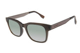 SUNGLASSES - OCCL4516
