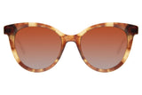 SUNGLASSES - OCCL4317