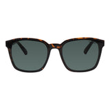 SUNGLASSES - OCCL5643