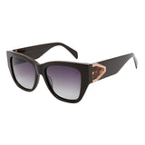 SUNGLASSES - OCCL5689