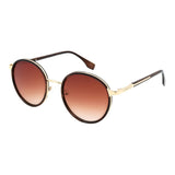 SUNGLASSES - OCCL5608