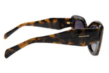 SUNGLASSES - OCCL4107