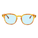 SUNGLASSES - OCCL5881
