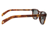 SUNGLASSES - OCCL4131