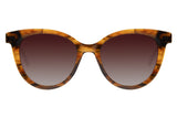 SUNGLASSES - OCCL4317