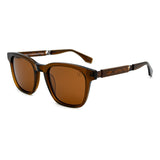 SUNGLASSES - OCCL5113