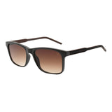 SUNGLASSES - OCCL5484