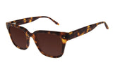 SUNGLASSES - OCCL4100