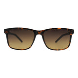 SUNGLASSES - OCCL5484