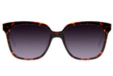 SUNGLASSES - OCCL3559