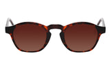 SUNGLASSES - OCCL4126