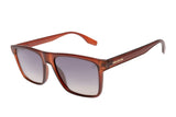SUNGLASSES - OCCL4494