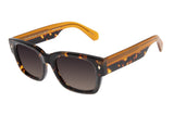 SUNGLASSES - OCCL4196