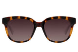 SUNGLASSES - OCCL4333
