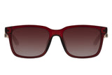 SUNGLASSES - OCCL4507
