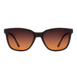 SUNGLASSES - OCCL5304