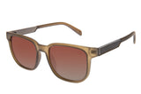 SUNGLASSES - OCCL4659