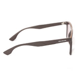 SUNGLASSES - OCCL4576