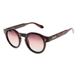 SUNGLASSES - OCCL4554