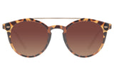 SUNGLASSES - OCCL3378