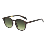 SUNGLASSES - OCCL5699