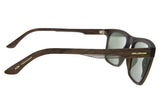SUNGLASSES - OCCL4185