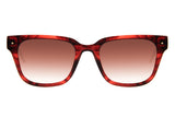 SUNGLASSES - OCCL4100