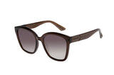 SUNGLASSES - OCCL4531